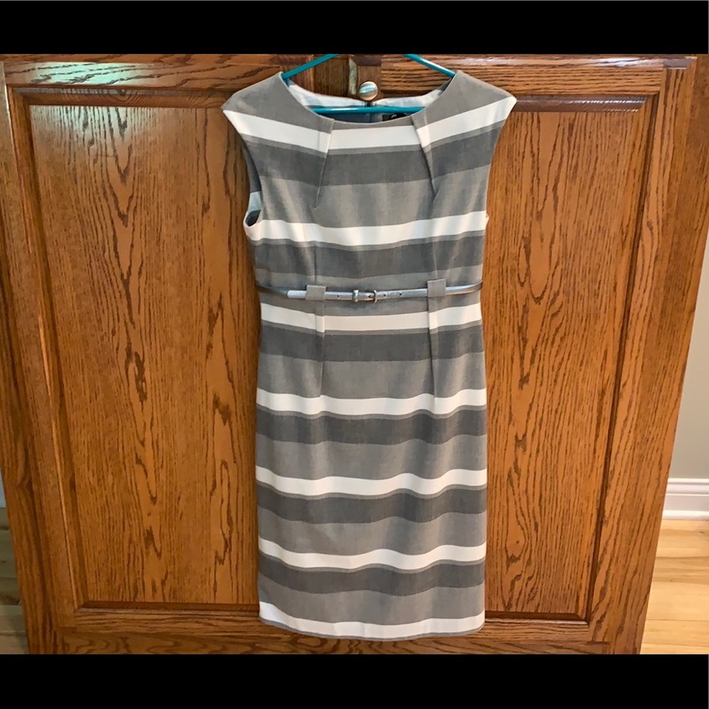 Beautiful Ellen Tracy Dress